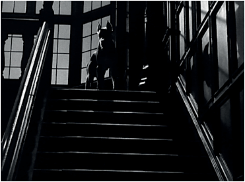 Black-and-white film still: a dog at the top of a dark staircase, shot from a low angle, in *Strangers on a Train*.